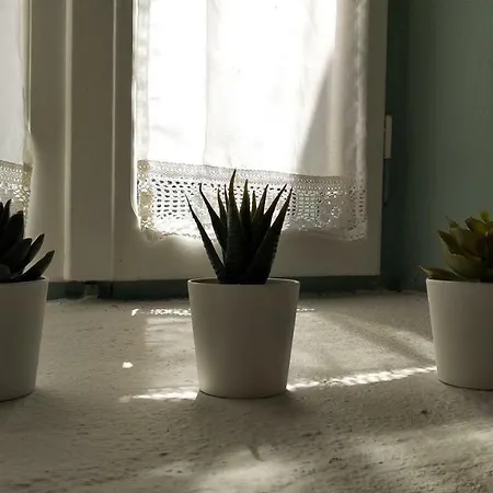 בית נופש Yalitzi